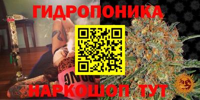 скорость mdpv Кандалакша