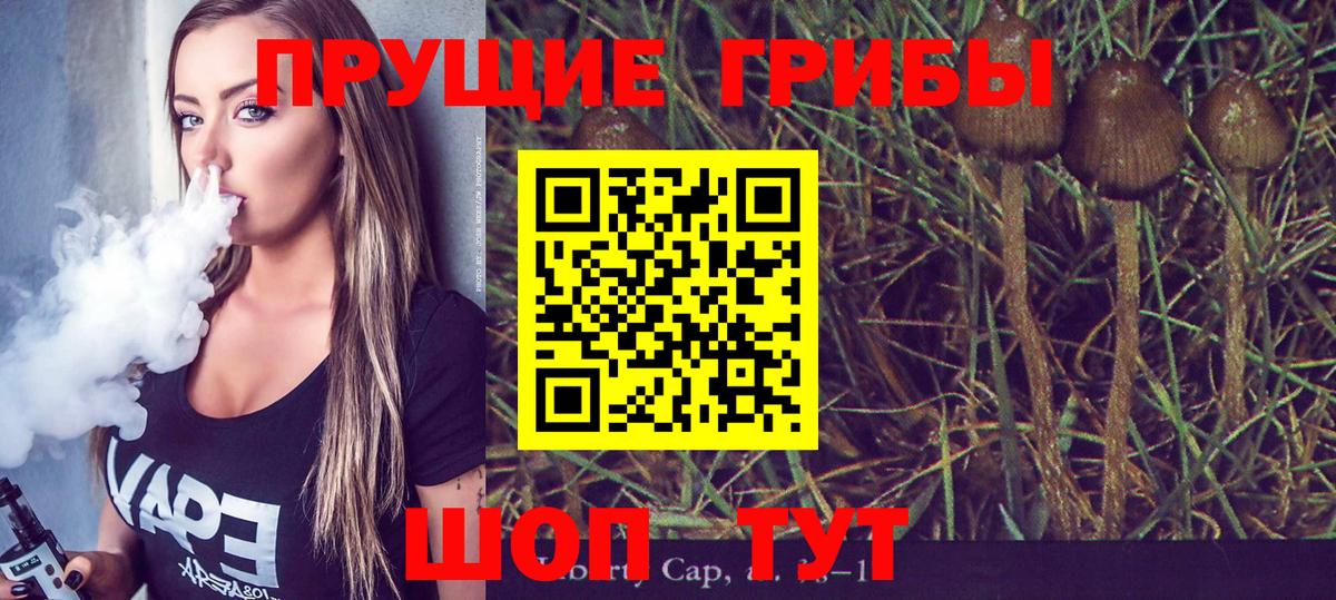 Псилоцибиновые грибы Psilocybe  купить  цена  Ступино  Вход с VPN 
