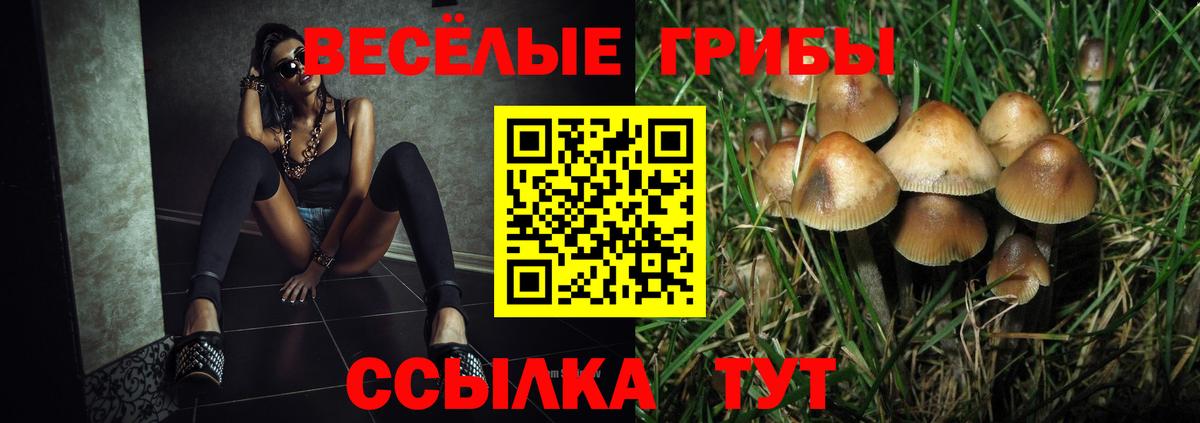 Псилоцибиновые грибы мухоморы Ступино